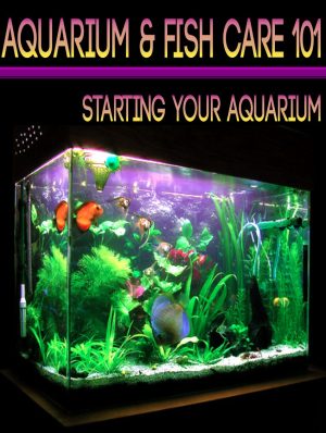 Aquarium & Fish Care - Starting Your Aquarium MRR