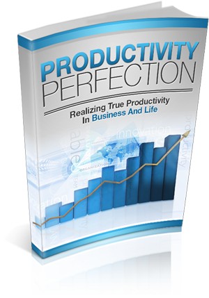 Productivity Perfection MRR