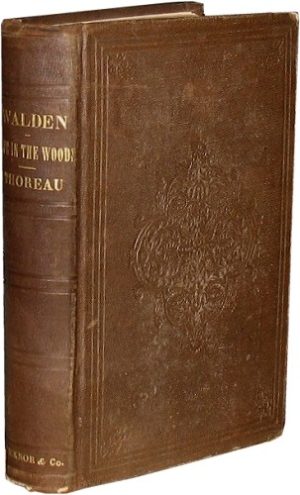 Walden MRR